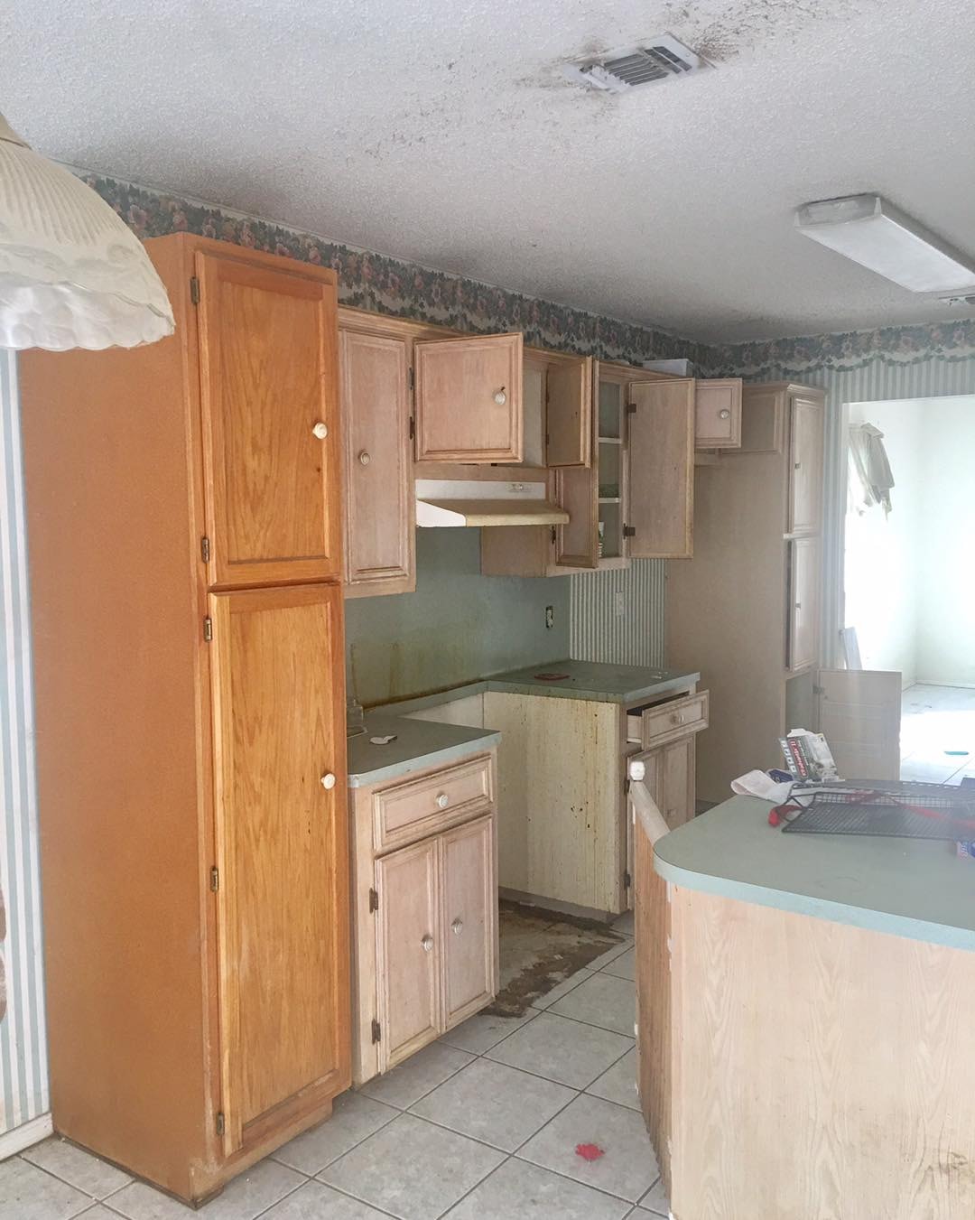 Full Kitchen & Living Remodel — Gray & Crystal photo 5